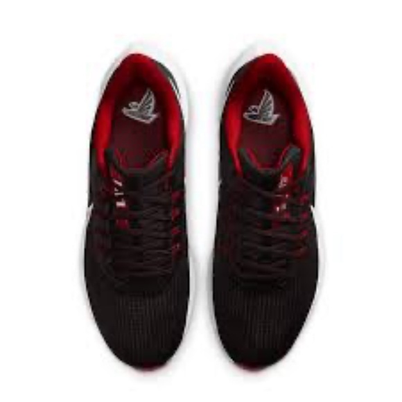 NFL Atlanta Falcons NIKE AIR ZOOM PEGASUS 39 Sneakers